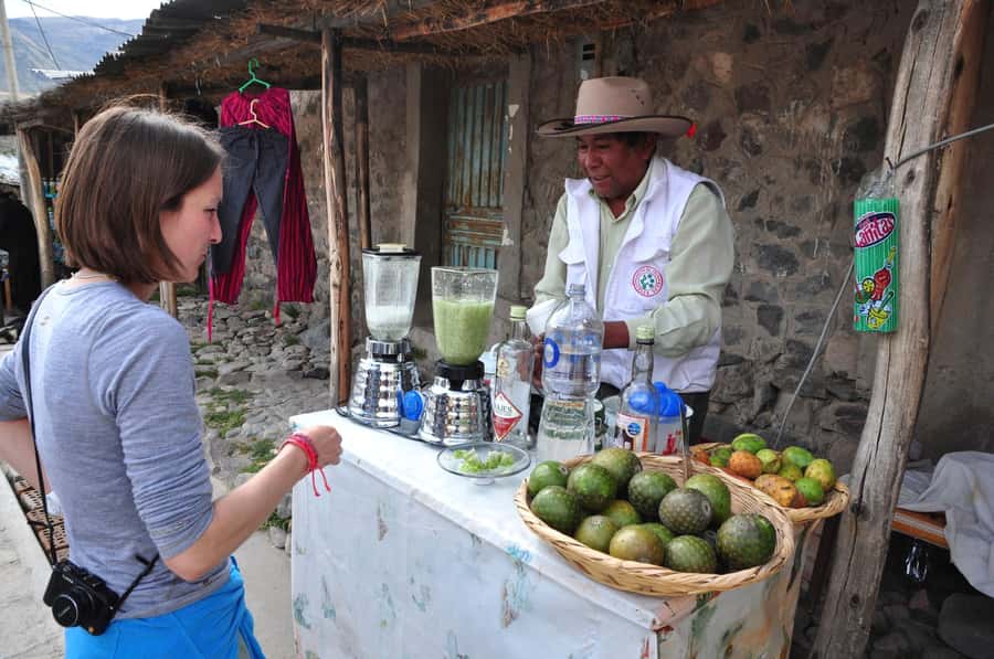 From Arequipa: One Day Trip to Colca Canyon Ending in Puno - Why this Arequipa to Puno trip makes sense