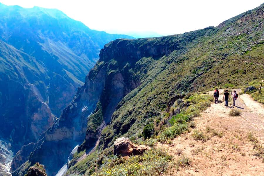 From Arequipa Trek : 2-Days of Hiking in the Colca Canyon - Key points to know before booking