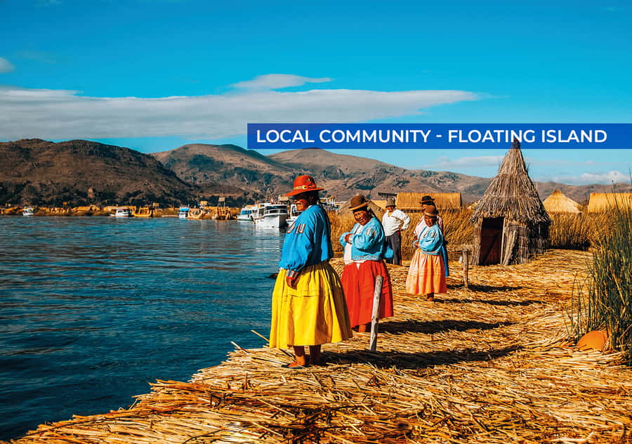 From Cusco: 2-Night Lake Titicaca Excursion - The early morning start in Puno