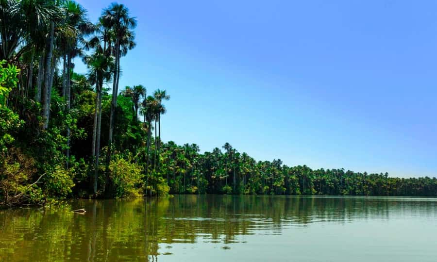 From Cusco: 4 Day Puerto Maldonado Sandoval Lake Excursion - Kayaking, canopy bridges, and the afternoon sunset