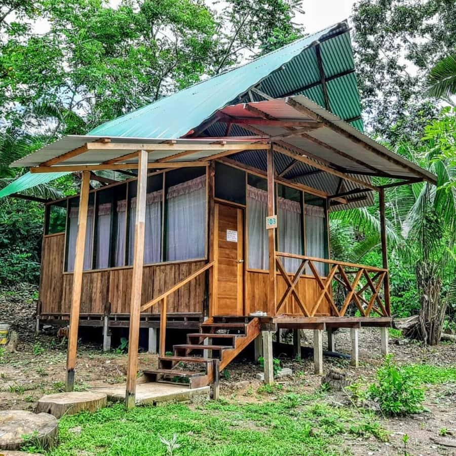 From Cusco: Amazon jungle for two days with sleeper bus and private lodge - Day two: Tambopata National Reserve and Sandoval Lake