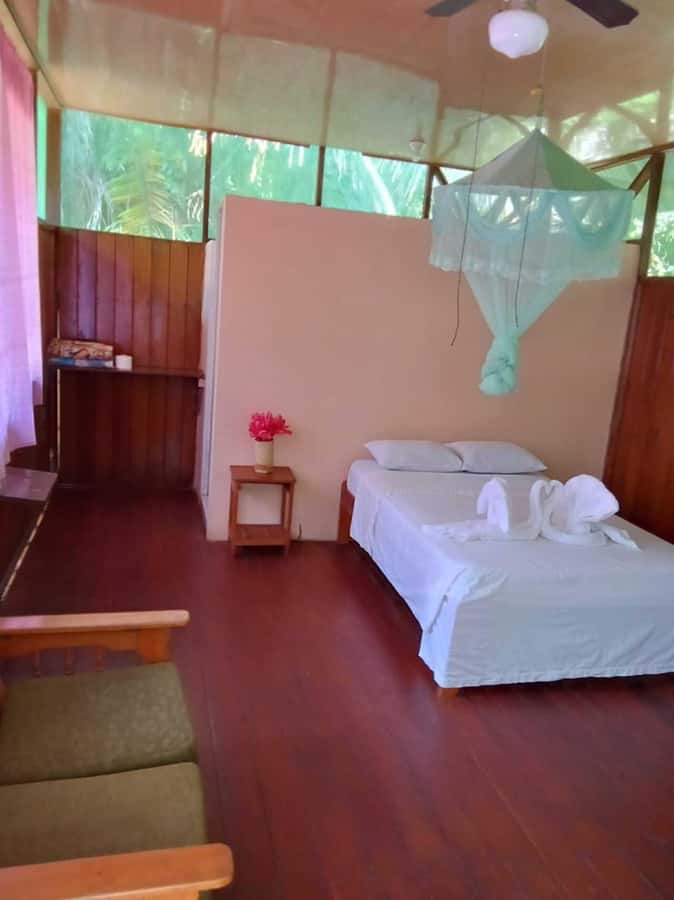 From Cusco: Amazon jungle for two days with sleeper bus and private lodge - What the transport is really like