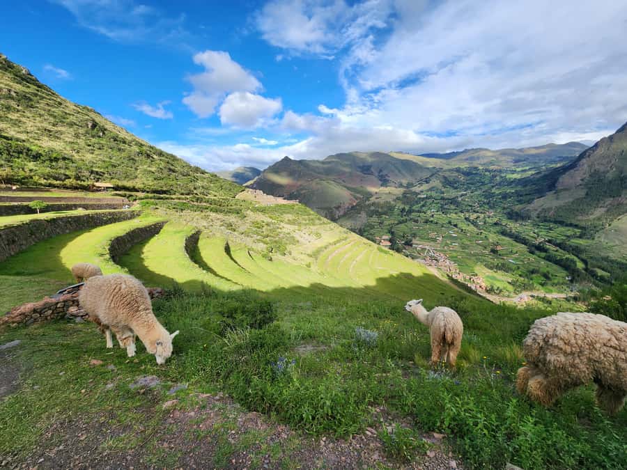 From Cusco: Chinchero, Moray, Maras, Ollantaytambo and Pisaq - Urubamba: buffet lunch in the middle of the day