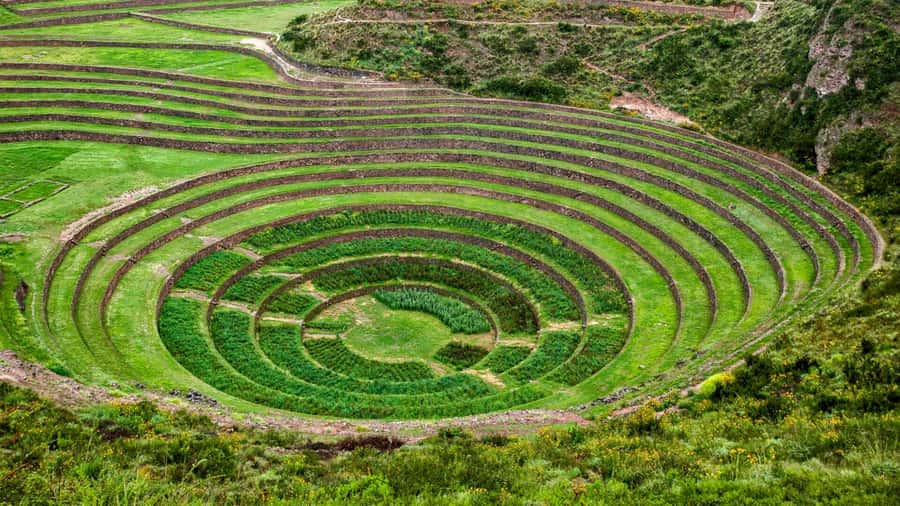 From Cusco: Chinchero Weavers, Moray, Maras Salt Mines Tour - Maras turns salt into a mountain-sized worksite