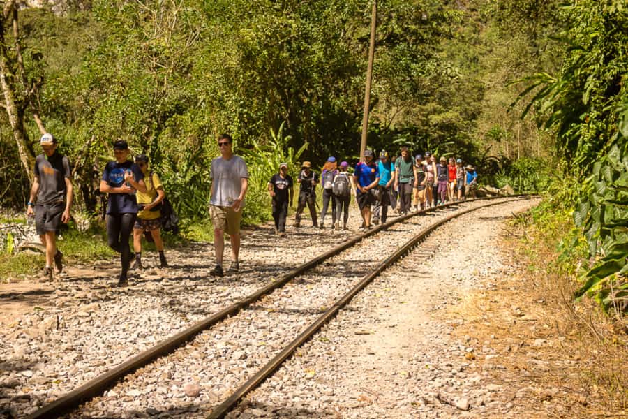 From Cusco: Full-Day Round-Trip Train Tour to Machu Picchu - Why this day trip works