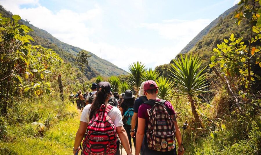 From Cusco: Full-Day Round-Trip Train Tour to Machu Picchu - Seeing Machu Picchu with a guide