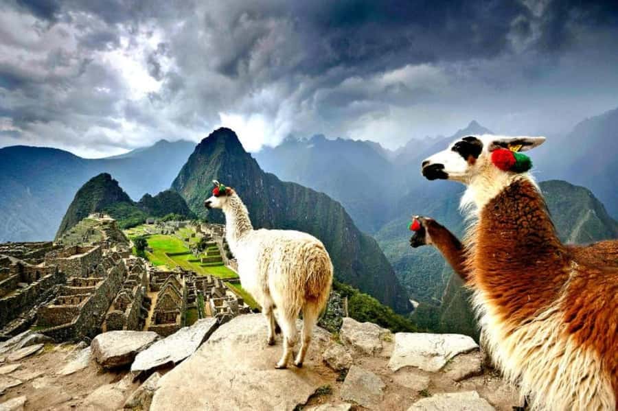 From Cusco:MachuPicchu Excursion 1 day plus Ticket and Train - One long day from Cusco to Machu Picchu