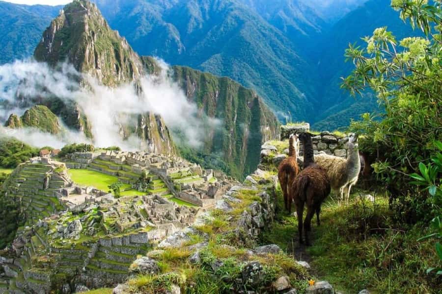 From Cusco:MachuPicchu Excursion 1 day plus Ticket and Train - Crossing the Sacred Valley by bus