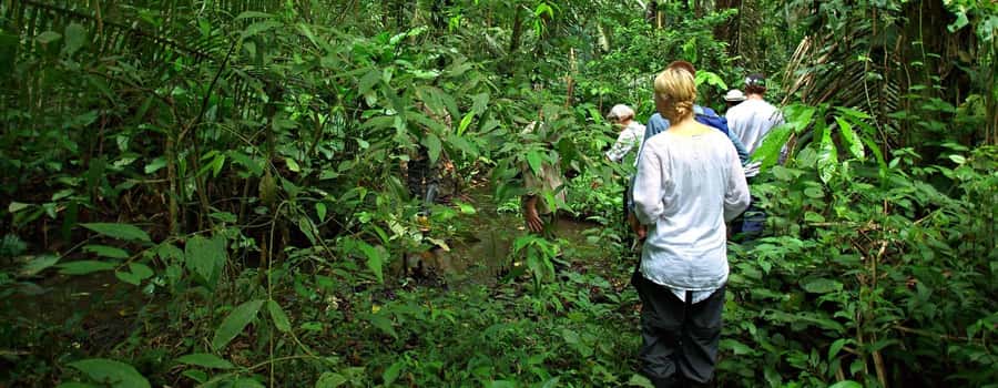 From Cusco: Manu National Park 3 Day Tour - Day two brings coca, rescued wildlife, and river time