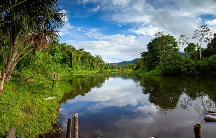 From Cusco: Manu National Park Tour & Accommodation 3 Days - FAQ