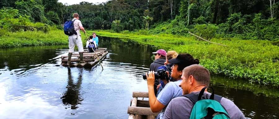 From Cusco: Manu National Park Tour & Accommodation 3 Days - Day 1: From Cusco to the cloud forest