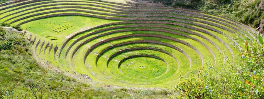 From Cusco: Maras and Moray and Ollantaytambo Tour - Key points at a glance