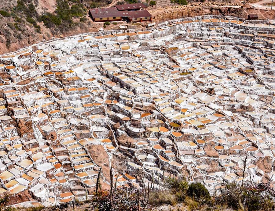 From Cusco: Moray, Maras Salt Mines & Chinchero Weavers Tour - Maras Salt Mines: the most memorable stop