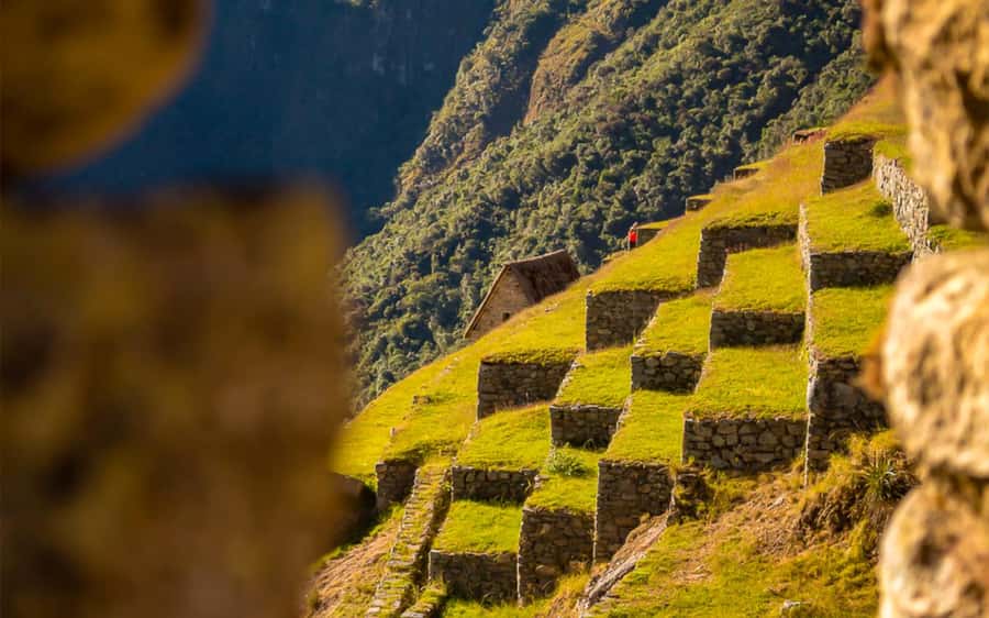 From Cusco: One-Day Round Trip to Machu Picchu by Train - Free time for photographs, with firm limits