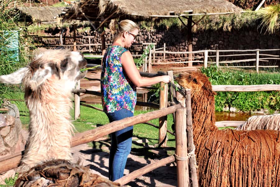 From Cusco: Private Pisac Ruins and Alpaca Farm Day Trip - Leaving Cusco with a private guide and driver