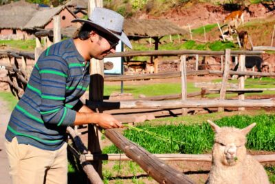 Private Pisac Ruins and Alpaca Farm Day Trip