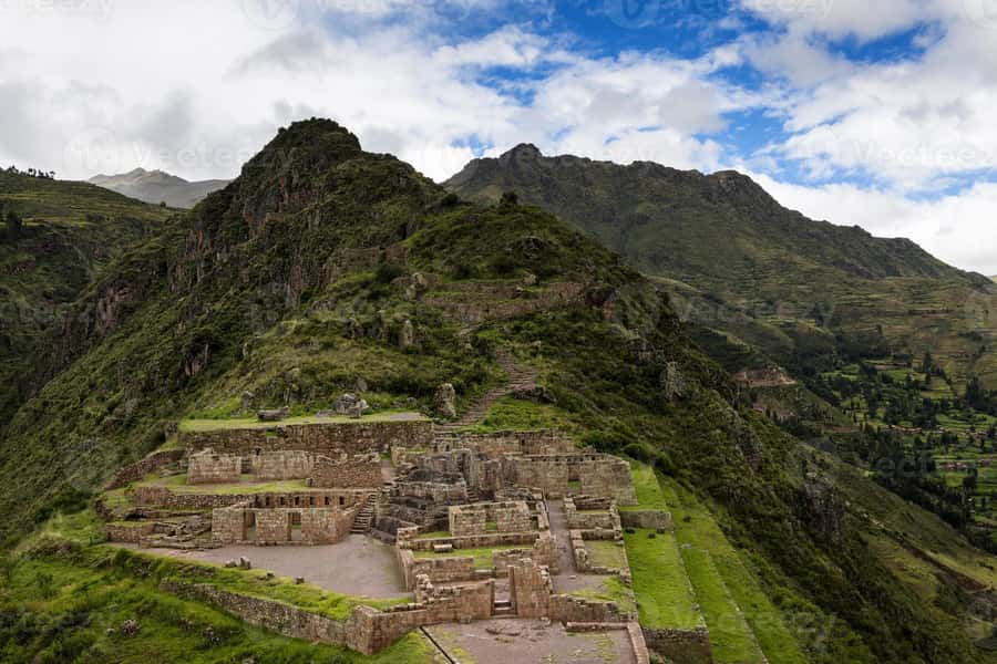 From Cusco: Private Pisac Ruins and Alpaca Farm Day Trip - Meeting the animals at Manos de la Comunidad