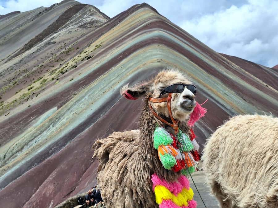 From cusco: Rainbow Mountain ATV Tour with meals - The 25-minute ATV ride to the mountain