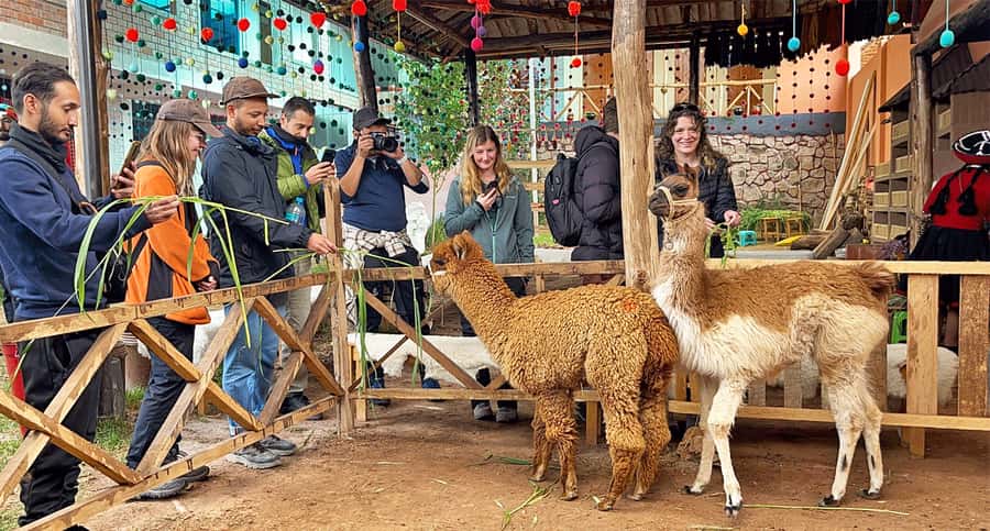 From Cusco: Sacred Valley & Maras Salt Mines Tour with Lunch - Chinchero, where weaving comes first