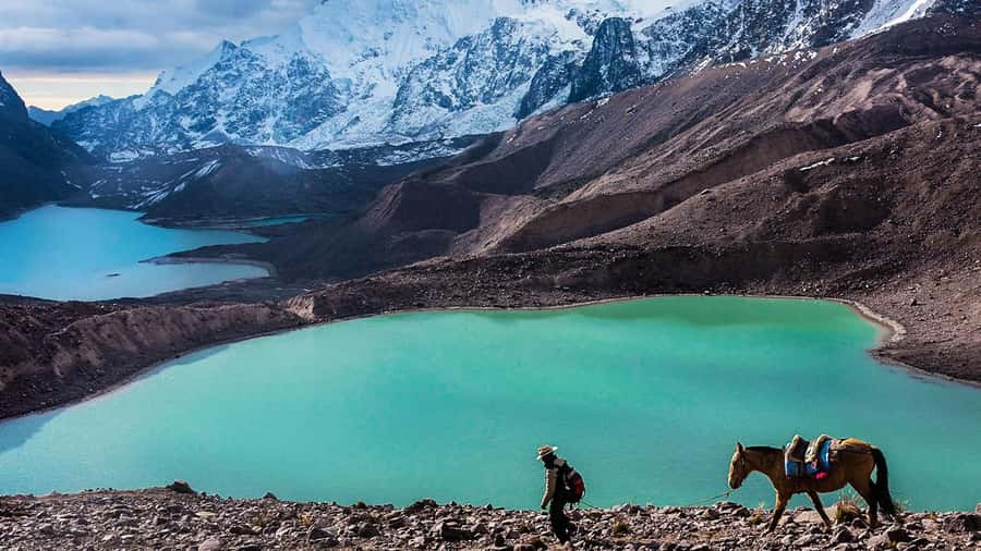 From Cusco: Salkantay trek 5 days/4 nights meals included - Day two: The high point at Salkantay Pass