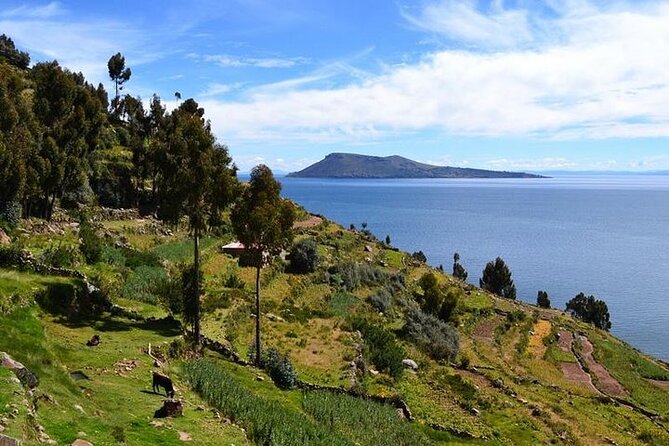 From Cusco to Lake Titicaca: 2-Day Homestay Tour - Day 1: Leaving Cusco at 9:30 pm