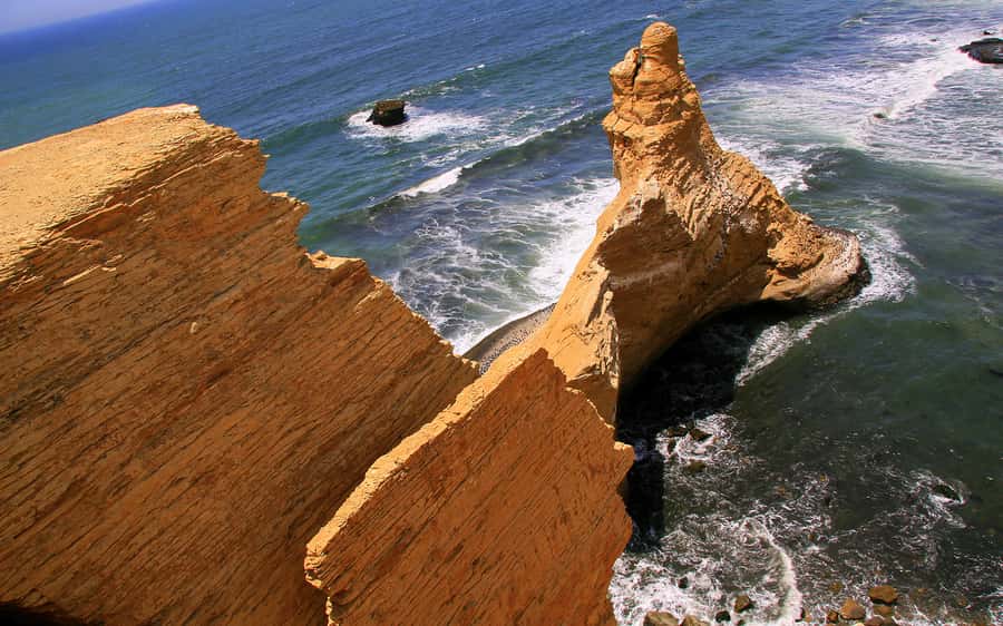 From Huacachina: Ballestas and Paracas Reserve - GROUP TOUR - Paracas National Reserve after the boat