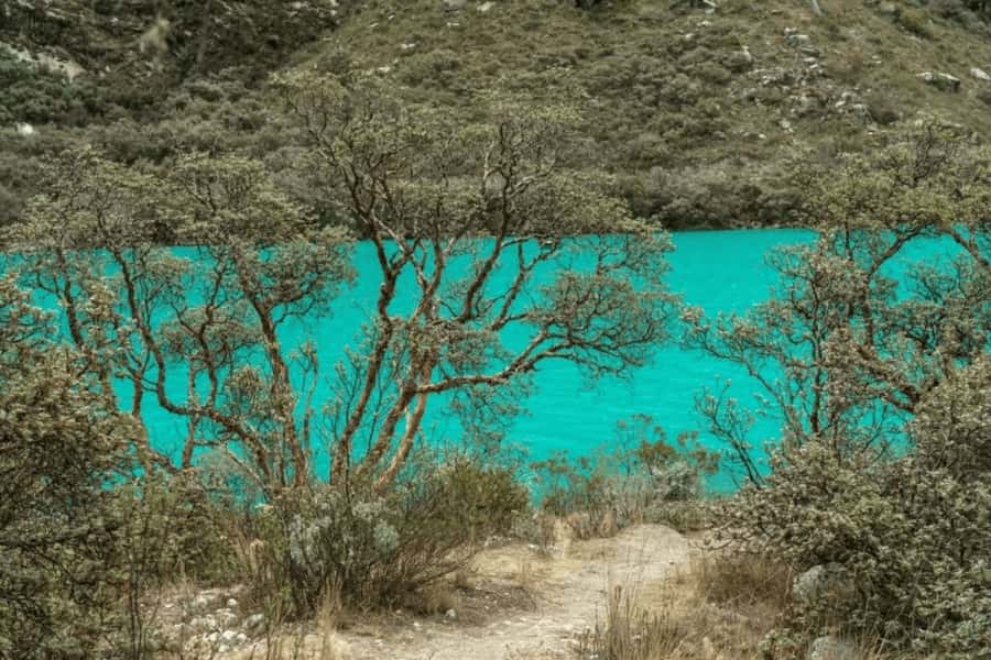 From Huaraz: Tour to Llanganuco Lakes (Chinancocha Lake) - Should you book the Llanganuco Lakes tour?
