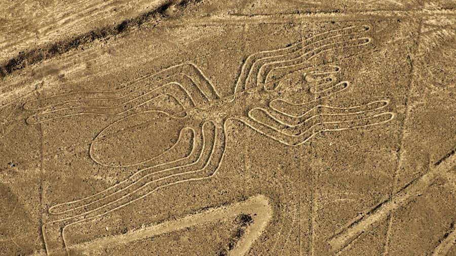 From Ica: Flight over the Nazca Lines - Leaving Ica at 6:30 am