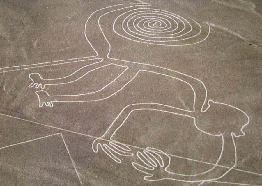 From Ica: Flight over the Nazca Lines - Inside the six-passenger aircraft