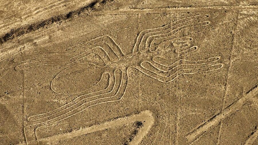 From Ica: Flight over the Nazca Lines - The spider, monkey, hummingbird, and condor