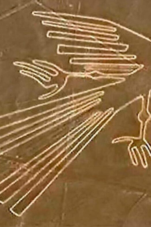 From Ica: Flight over the Nazca Lines - What the mixed service means for value