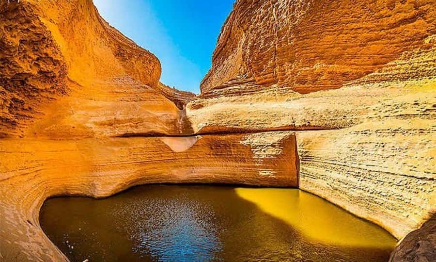 From Ica || Full Day Excursion to Los Perdidos Canyon || - Ocucaje’s monuments and fossil country