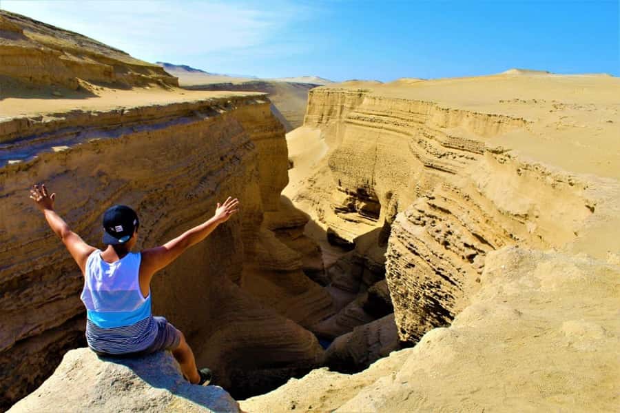 From Ica | Huacachina : Canyon de Los Perdidos | Full Day - Key points to know before booking