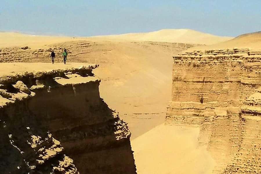From Ica | Huacachina : Canyon de Los Perdidos | Full Day - Why Canyon de Los Perdidos feels different from Huacachina