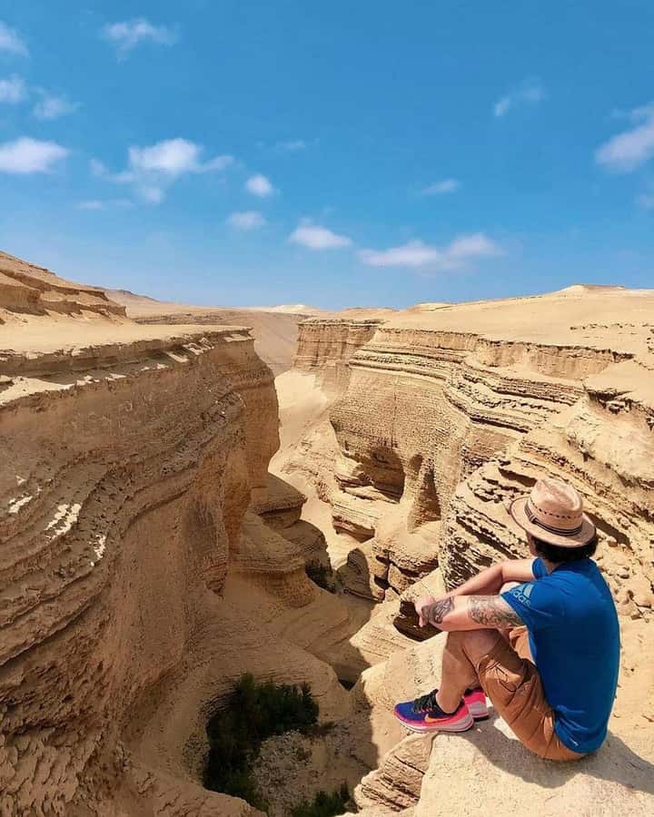From Ica | Huacachina : Canyon de Los Perdidos | Full Day - What the geology and fossils add to the visit