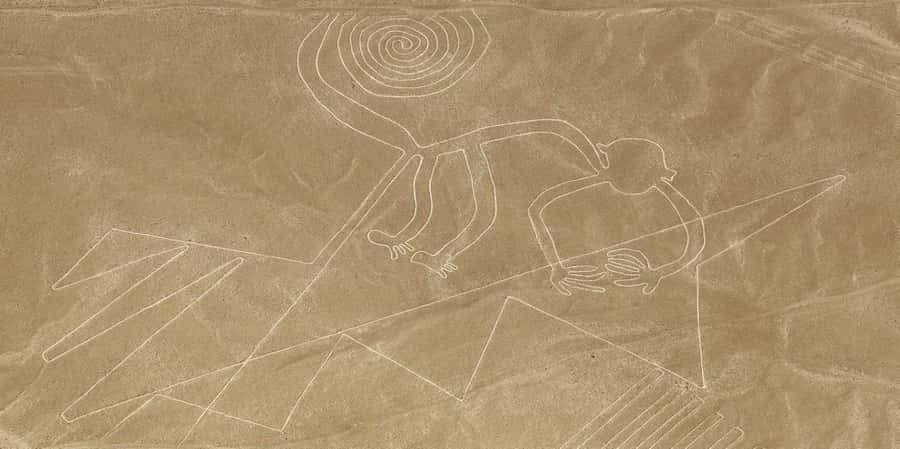 From Ica or Huacachina: Flight Tour Nazca Lines | Overflight - What the 35-minute flight is like