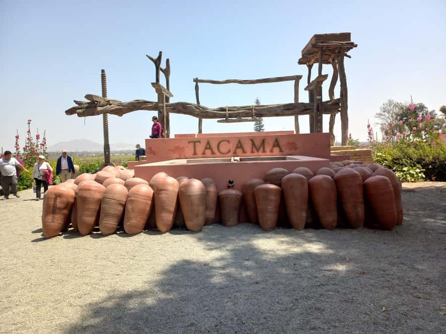 From Ica or Huacachina: Tour to Tacama Vineyard and Artisanal Winery. - Key points to know before you go