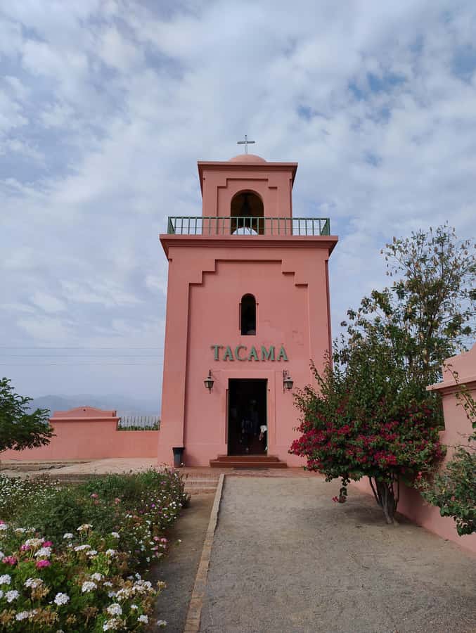 From Ica or Huacachina: Tour to Tacama Vineyard and Artisanal Winery. - Cutur Pisco and the one-hour food break