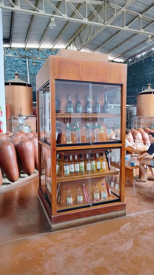 From Ica or Huacachina: Tour to Tacama Vineyard and Artisanal Winery. - Practical packing advice