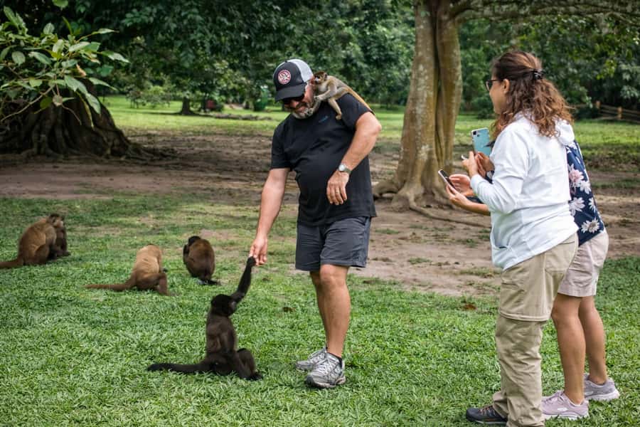 From Iquitos: 3-Day Amazon Jungle Adventure Trip - Booking details worth getting right