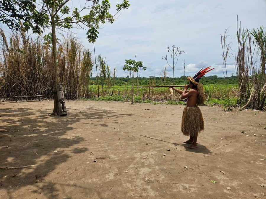 From Iquitos: Full day tour in the Peruvian jungle - Should you book this Iquitos jungle tour?
