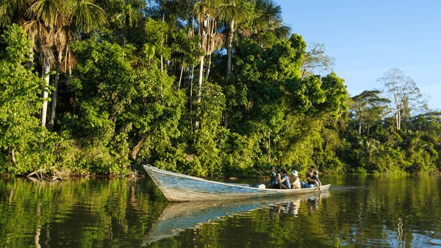 From Iquitos: Full day tour in the Peruvian jungle - A rescue center with macaws, monkeys, and sloths