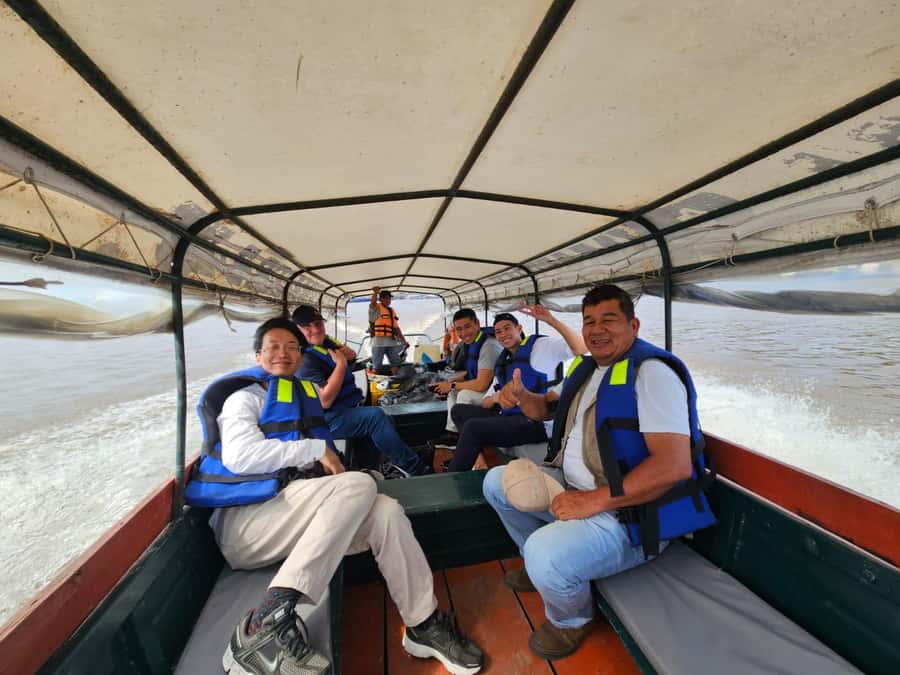 From Iquitos: Full day tour in the Peruvian jungle - Lunch at the lodge, then Shanshococha Lagoon