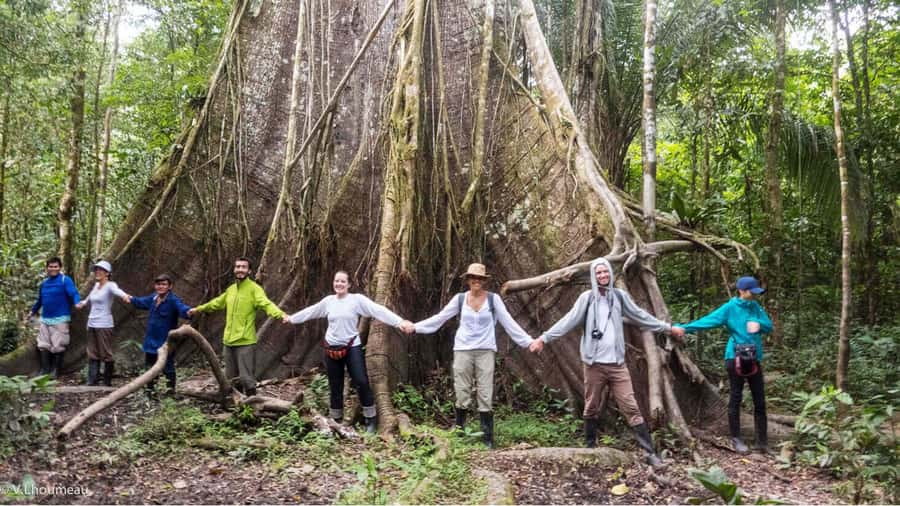 From Iquitos: Full day tour in the Peruvian jungle - Giant lilies and Amazon fish at the natural reserve