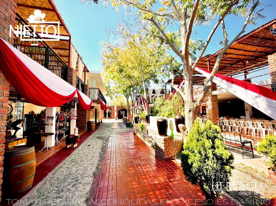 From Lima 2 days 1 night, Ballestas,Huacachina & Nazca lines - Returning to Lima by Cruz del Sur