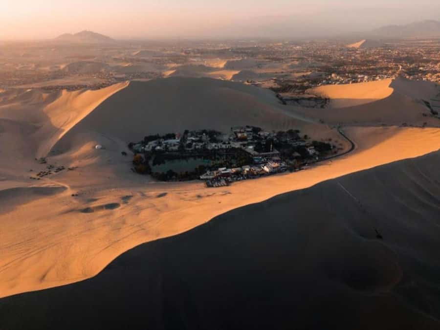 From Lima: Ballestas Islands and Huacachina Sunset Day Trip - Morning wildlife around the Ballestas Islands