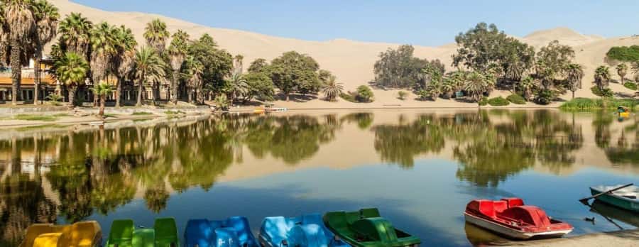 From Lima: Ballestas Islands, Huacachina and Wine Route Trip - Who will get the most from this $70 tour