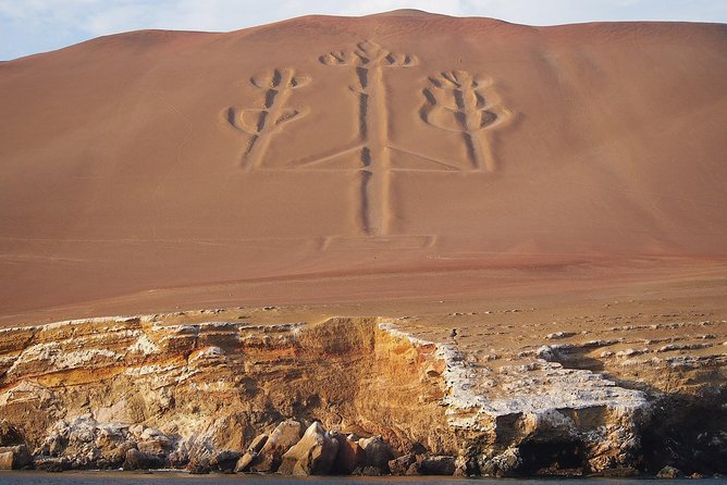 From Lima: Ballestas, Nazca Lines & Huacachina Oasis - Ballestas Islands: wildlife from a shared speedboat