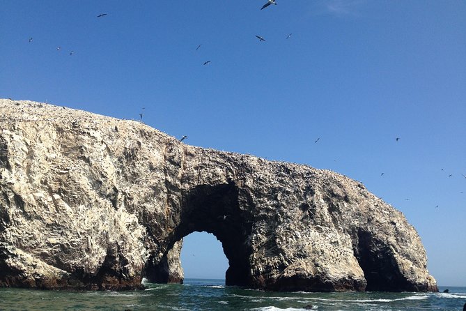 From Lima: Ballestas, Nazca Lines & Huacachina Oasis - Huacachina Oasis and the optional dune ride