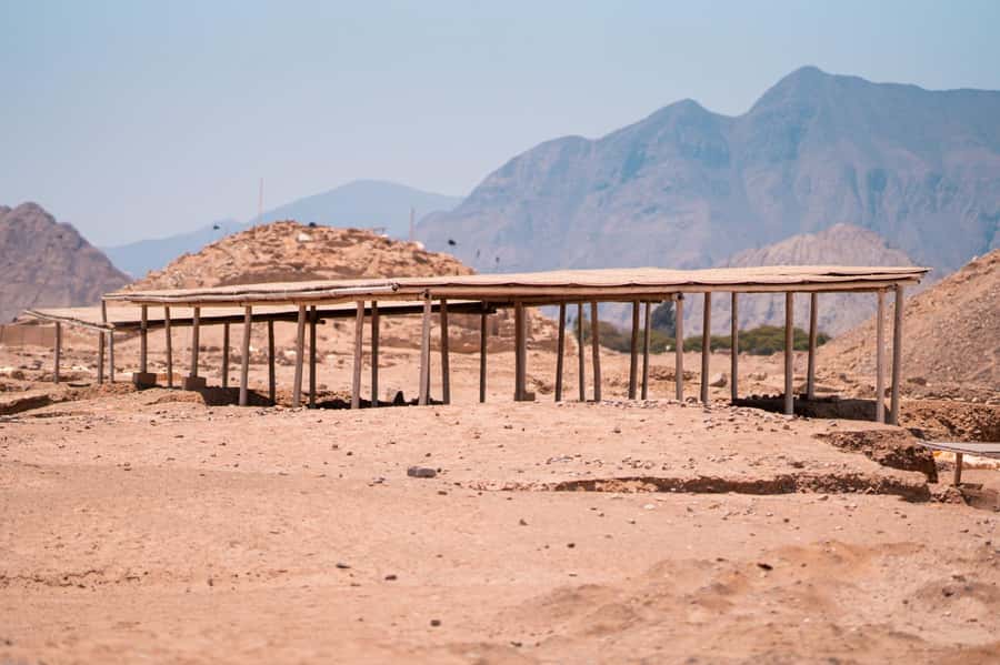 From Lima: Discover the Ancient Sites Caral & Bandurria - Booking details worth checking before you go